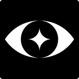 Vision